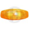 DIEDERICHS 6870078 Indicator